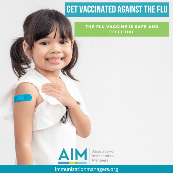 How to access flu vaccination programs