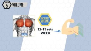 Importance of progressive overload in muscle mass training