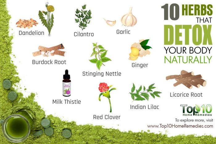 Body detox detoxing when do improve wellness health need signs take look some allnaturalideas let know time How to detox your body safely at home